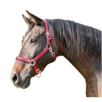 Kantar dla konia Mustang, czerwony/czarny, roz. Pony, Covalliero (CA 05-0355)